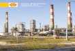 Informe de Desempeño Ambiental 2018 - shell.com.ar · las plantas de fraccionamiento de reformado, nos permiten ofrecer gasoils y naftas con el menor contenido de aromáticos livianos
