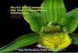 Guía de Campo de las Orquídeas Chilenas · plantas de Chile, y será apreciado por muchos, inspirándoles a comprometerse y llevar a cabo estudios posteriores, y a la conservación