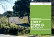 Ficha didáctica nº15 Flora y Fauna de El Cabril · repoblaciones, adehesamiento de los encinares para favorecer los pastos o siembra de cereales u otros cultivos de subsistencia