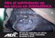 Alto al sufrimiento en los circos en SUDAMÉRICA · Los siguientes ejemplos muestran la diversidad de especies ubicadas continuamente en los circos itinerantes de Sudamérica. Debe