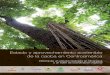Estado y aprovechamiento sostenible de la caoba en ... · de Nicaragua (el cuarto productor de caoba) y Fauna & Flora International desarrollaron un proyecto para fomentar el manejo