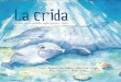 cartadelatierra.orgcartadelatierra.org/wp-content/uploads/2017/06/LA-CRIDA-.pdf · Dofins de diferents espècies i representants de tots els mars i oceans, alguns vinguts de les aigües