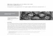 Manejo integrado en el cultivo de anón Annona squamosa L.)soccolhort.com/revista/pdf/magazin/Vol1/vol.1no.2/Vol.1.No.2.Art.3.pdf · 20ºC como mínimas y de 22 a 28ºC como máximas