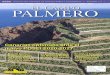 ASPA ASOCIACIÓN PALMERA DE AGRICULTORES Y GANADEROS …canalagrariolapalma.com/wp-content/uploads/CAMPO-PALMERO... · 2019-03-26 · mepsa 05. I EL CAMPO PALMERO 3 E CAPO PAERO Edita: