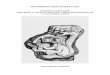 Tloque Nahuaque y sus representaciones en el eje medio · 2011-04-02 · como por sus piezas de cerámica y piedra, los altos y bajorrelieves, pinturas rupestres que han resistido;