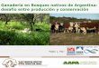 Ganadería en Bosques nativos de Argentina: desafío entre ... · Provincia % de PM silvopastoril respecto al total ... silvopastoril (ha) Catamarca 25,0 170 Chaco 47,5 234.563 Chubut