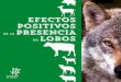 EFECTOS POSITIVOS PRESENCIA - Ecologistas en …...Pero la presencia funcional de lobo, que tiene indudables efectos positivos para la biodiversidad, también los tiene para actividades