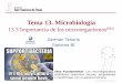 Tema 13. Microbiologíadpbiologia.weebly.com/uploads/2/1/5/5/21553524/gtp_t13.microbiología... · biogeoquímicos, como el del carbono o del nitrógeno.-Perjudiciales: Hay muchos