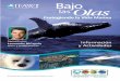 las Olas - Amazon S3...las tres partes de una misión que también incluye investigación y educación del público. Ballenas Jorobadas propuso matar 50 ballenas jorobadas durante