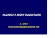 ALDAKETA MORFOLOGIKOAK · LP MIXOIDEA Toluidina-urdina. ELASTOSIA Kolagenoaren endekapen elastotikoa ... Ateroma-plaka kaltzifikatua. Kaltzifikazio metastatikoa HIPERKALTZEMIA 1