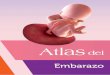 Índice · 2 Diagnóstico Prenatal La principal función del diagnóstico prenatal es poder proveer a los padres información temprana acerca de la salud del feto para una adecuada