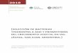 Selección de bacterias tolerantes a AsIII y promotoras del ...bdigital.uncu.edu.ar/objetos_digitales/11829/tesis-irnr-dvila-virginia-2018.pdf · De un total de 99 bacterias aisladas,