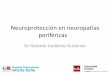 Neuroprotección en neuropatías periféricasgustavolorenzo.es/conferencias/enfer/2017/m6c2.pdf · 2017-10-03 · disinmunes (SGB) –Infecciosas (herpes, VVZ, borrelia…) –Metabólicas