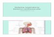 Sistema cardiovascular Sistema respiratorio(Unidades didácticas 11 y 12) Sistema respiratorio Sistema cardiovascular. Maniobra de Heimlich ... aorta y arterias pulmonares). En las