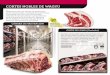 CORTES NOBLES DE WAGYUvacasybueyesibericos.com/.../uploads/2017/05/wagyu-SOLO.pdf · 2017-06-19 · CHORIZO Típico chorizo fresco, elaborado exclusivamente con grasa y carne de Wagyu