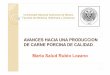 AVANCES HACIA UNA PRODUCCION DE CARNE PORCINA DE …amena.mx/memorias/MSR.pdf · 2010-10-28 · Definición Tradicional de Calidad de Carne de Cerdo Propiedades de la carneque inocuo