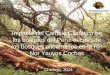 Impacto del Cambio Climático en los bosques del Perú: el ... · los bosques del Perú: el caso de los bosques altoandinos en la RP Nor Yauyos Cochas Chiclayo, 2014 . Estudio de