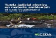 Tutela judicial efectiva en materia ambiental: el caso ... · en materia ambiental: el caso ecuatoriano El Centro Ecuatoriano de Derecho Ambiental (CEDA) es Tutela judicial efectiva