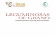 LEGUMINOSAS DE GRANO · 2016-10-19 · zonas de producción, calendario de siembra y cosecha de las arvejas, caupíes, frijoles, garbanzos, habas, lentejas, pallares u otros. Esperamos