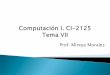 Prof. Mireya Moralesgecousb.com.ve/guias/GECO/Computación 1 (CI-2125...Arreglos multidimensionales o matrices Cadenas de Caracteres Ejemplo de lectura de una cadena Datos Simples