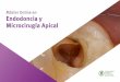 Máster Online en Endodoncia y Microcirugía Apical...Este Máster Online en Endodoncia y Microcirugía Apical contiene el programa científico más completo y actualizado del mercado”