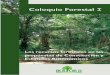 Coloquio Forestal I - Cebemcebem.org/cmsfiles/publicaciones/Coloquioforestal.pdf · • El proyecto de CPE de la Asamblea Constituyente lo define como plurinacional y comunitario