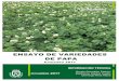 ENSAYO DE VARIEDADES DE PAPA - AgroCabildo variedades de papa 2017.pdfespecialmente en la vertiente Norte y en San Miguel, Granadilla y Vilaflor en el Sur. El sector de la papa se