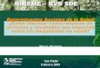 BIREME – BVS SDE · 2013-03-14 · BIREME – BVS SDE Determinantes Sociales de la Salud: ¿Cómo aterrizar conocimientos en acciones y resultados que impacten sobre las inequidades