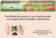 Fertilidad de suelos y sus implicancias en la agricultura ... · Los suelos del Sur de Chile, se caracterizan por ser de origen volcánico, por lo que por defecto son suelos ÁCIDOS