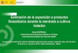 Estimación de la exposición a productos …...Estimación de la exposición a productos fitosanitarios durante la reentrada a cultivos tratados Isaac Abril Muñoz Instituto Nacional