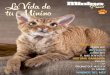 RAZA DEL MES 4 - MININO · La triple felina Como su nombre indica, esta va-cuna sirve para prevenir tres en-fermedades distintas como son la rinotraqueitis, el calicivirus y la panleucopenia