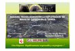 Una Empresa Orgullosamente responsable y en progreso ! · 2018-09-04 · AVANCES AVANCES TECNOLOGICOS EN LA EXPLOTACION TECNOLOGICOS EN LA EXPLOTACION DE DE MINAS DE CARBON BAJO TIERRA