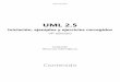 UML 2 - Ediciones ENI · Ediciones ENI UML 2.5 Iniciación, ejemplos y ejercicios corregidos (4ª edición) Colección Recursos Informáticos Contenido