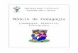 PEDAGOGIA V2.doc · Web view(Comenio, Didáctica Magna, 1592-1670) “La didáctica es la disciplina pedagógica de carácter práctico y normativo que tiene como objeto específico