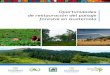 Oportunidades de restauración del paisaje forestal en ... · restauración que Guatemala está implementando en forma decidida, fortaleciendo la salud de los ecosistemas como fuente