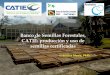 Banco de Semillas Forestales - VirtualWeb semilla mejorada FMesen CATIE 08-12.pdf · Banco de Semillas Forestales, CATIE ... Enseñanza (CATIE) es un centro regional radicado en Turrialba,