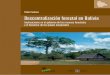 Descentralizacion forestal en Bolivia: implicaciones en el ... · recursos naturales, y particularmente de los forestales. Presentación El CIFOR se ha interesado en esta problemática,