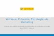Voltimum Colombia, Estrategias de Marketingmercado meta, el posicionamiento y las ventas planeadas del producto, la porción del mercado y las metas buscadas para el año; La estrategia