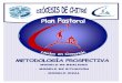 INDICE Agentes de Pastoral 4 5 Por Servicios 6 8 Capítulo 2 … · 2019-04-09 · Pastoral Comunitaria Pastoral Familiar Estructuras Pastorales Secretaría Diocesana de Animación