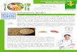 Presentación de PowerPointanmdecolombia.net/attachments/article/645/LA QUINUA - SEMILLAS DE ALTO... · alto valor nutritivo, las propiedades medicinales y la calidad libre de gluten