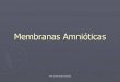 Membranas Amnióticas - Instituto Tecnológico de Puerto ...bibliotecaitecponce.weebly.com/uploads/1/0/4/3/10432120/membranas_amniticas.pdfProf. Grisell Nazario Colón/08 Ruptura Prematura