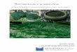 Biorreactores y la espirulina · L’Hospitalet de Llobregat, 15 de Octubre de 2018 Biorreactores y la espirulina La maravilla de obtener biocombustible y alimento a partir de microalgas