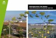 Aeropuerto de Ibiza - Aena AMBIENTAL CASTELLANO STANDAR.pdf · La mayoría de las actividades desarrolladas en el Aeropuerto de Ibiza suponen la ge-neración de residuos tanto urbanos