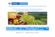 Ministerio de Agricultura y Desarrollo Rural PLAN DE ......1 Ministerio de Agricultura y Desarrollo Rural PLAN DE ACCION INSTITUCIONAL VIGENCIA 2019 – Versión II Bogotá D. C.,