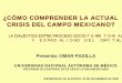 ¿CÓMO COMPRENDER LA ACTUAL CRISIS DEL CAMPO …rua.ua.es/dspace/bitstream/10045/17146/3/Campo mexicano (Omar).pdf · ¿Cómo comprender la actual crisis del campo mexicano? 