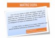 MATRIZ DOFA - Webnodefiles.oscargil.webnode.es/200000131-51522524d0/MATRIZ DOFA.pdf · las fortalezas y debilidades del producto, ya que el objetivo de la investigación es mejorar