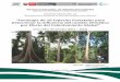 “Fenología de 10 Especies Forestales para Determinar la ...repositorio.inia.gob.pe/.../Angulo-Fenologia_de_10... · I. INTRODUCCION A nivel de la Amazonía entre el año 2001 al