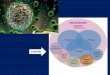 CLASIFICACIÓN MOLECULAR DEL CARCINOMA ESCAMOSO DE CABEZA Y ... · cáncer y el sistema inmune de forma personalizada . Inmunograma 1 CD3T 2 CTLA-4 3 CD-83 4 CD8T 5 HLA-A 6 FOXP3