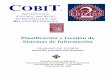 COBIT - UCLM · Planificación y Gestión de Sistemas de Información Escuela Superior de Informática (UCLM) The Cobit Framework Roberto Sobrinos Sánchez