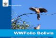Publicación informativa digital sobre el trabajo de WWF en Bolivia …assets.panda.org/downloads/wwfolio18_espanol.pdf · 2009-08-11 · Pando y sus bosques de esperanza Si usamos